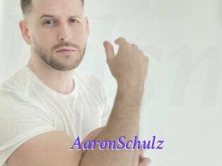 AaronSchulz