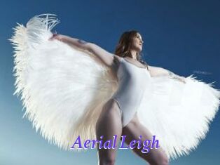 Aerial_Leigh