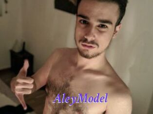 AleyModel