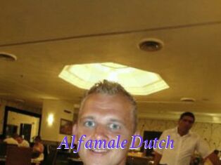 Alfamale_Dutch