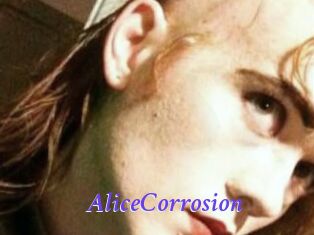 AliceCorrosion