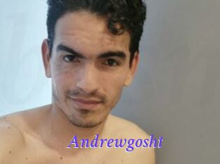 Andrewgosht