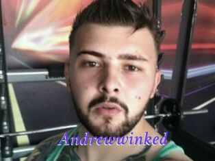 Andrewwinked