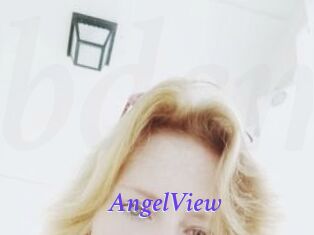 AngelView