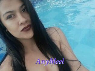 AnyMeel