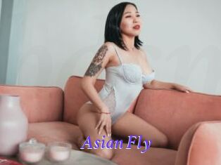 Asian_Fly