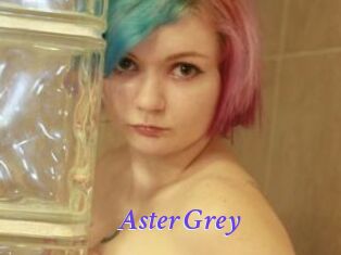 Aster_Grey