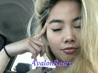 AvalonRosex