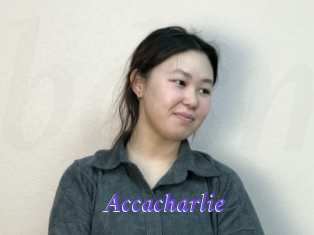 Accacharlie