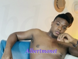 Albertmonet