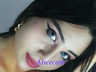 Alicecam