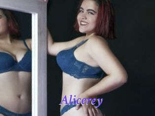 Alicerey