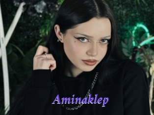 Aminaklep