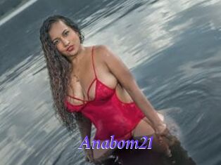 Anabom21