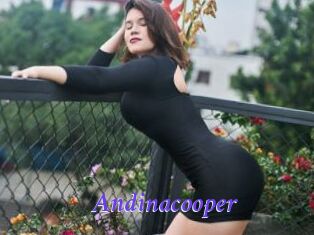 Andinacooper