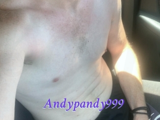 Andypandy999