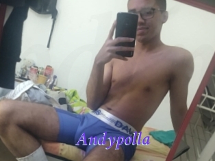 Andypolla