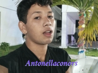 Antonellaconors