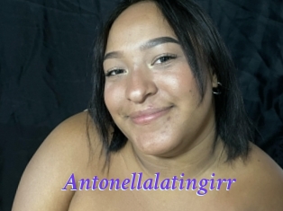 Antonellalatingirr