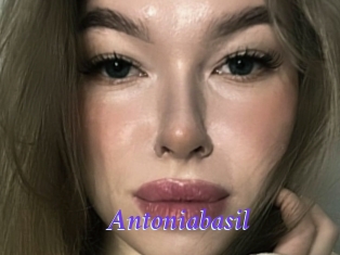 Antoniabasil