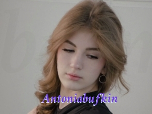 Antoniabufkin