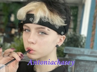 Antoniachasey