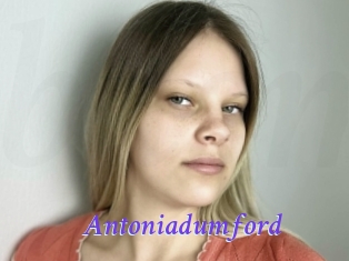 Antoniadumford