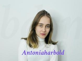 Antoniaharbold