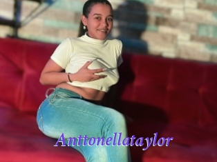 Anttonellataylor