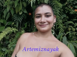 Artemiznayak