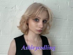 Ashleycodling