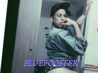 BLUEFOOSTER