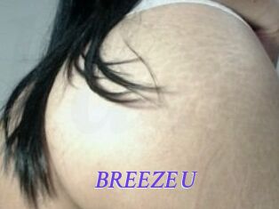 BREEZE_U