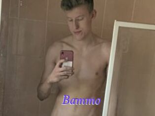 Bammo