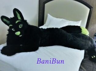 BaniBun