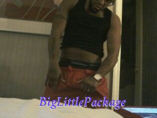 BigLittlePackage