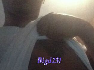 Bigd231