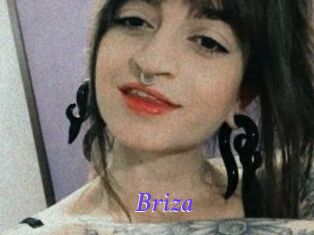 Briza