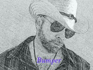 Bumper
