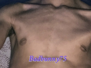 Badbunny75