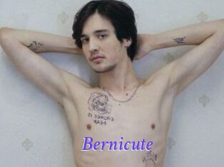 Bernicute