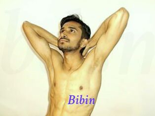 Bibin