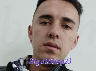 Big_dicktop23