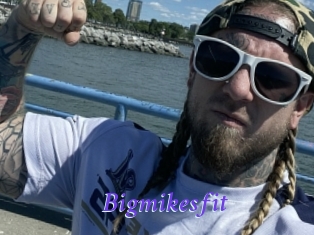 Bigmikesfit