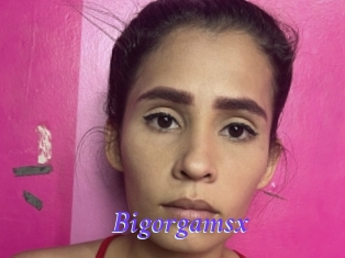 Bigorgamsx