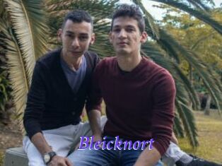 Bleicknort