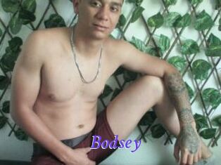 Bodsey