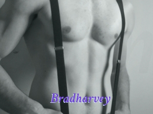 Bradharvey