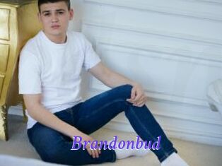 Brandonbud