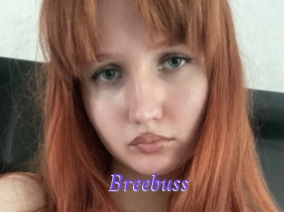 Breebuss